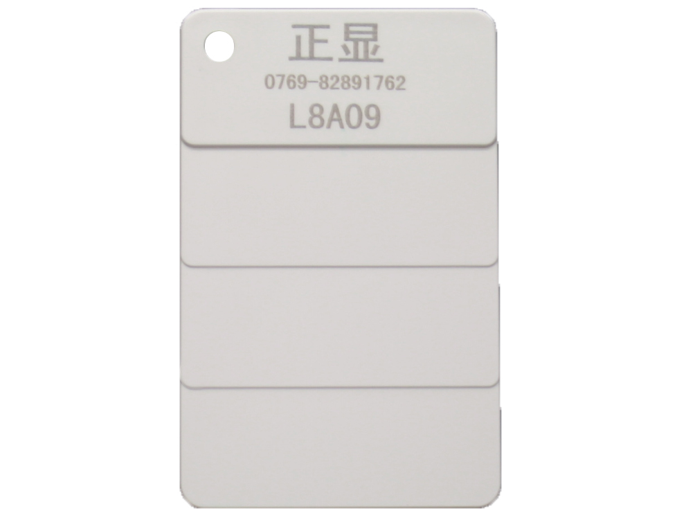 L8A09