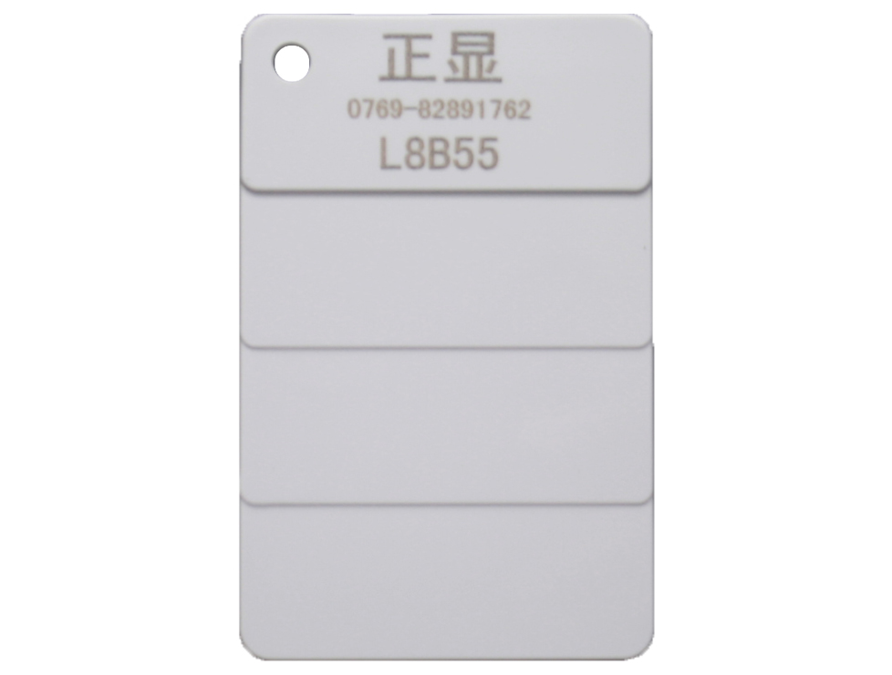 L8B55